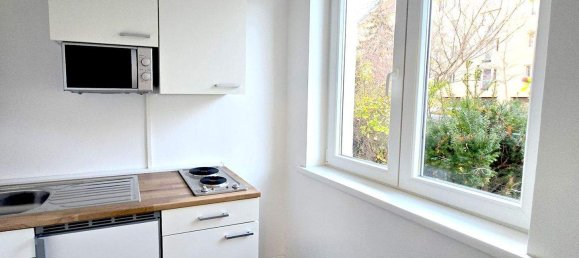 Studio in Dobling, Austria No. 236079 5