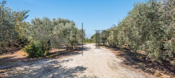 Villa T3 em Pomezia, Italy N.º 125636 35