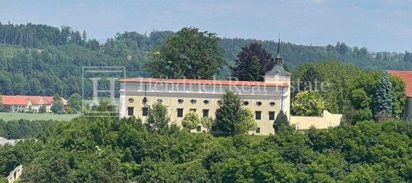 25 rooms Castles in Kremsmunster, Austria No. 243338 14