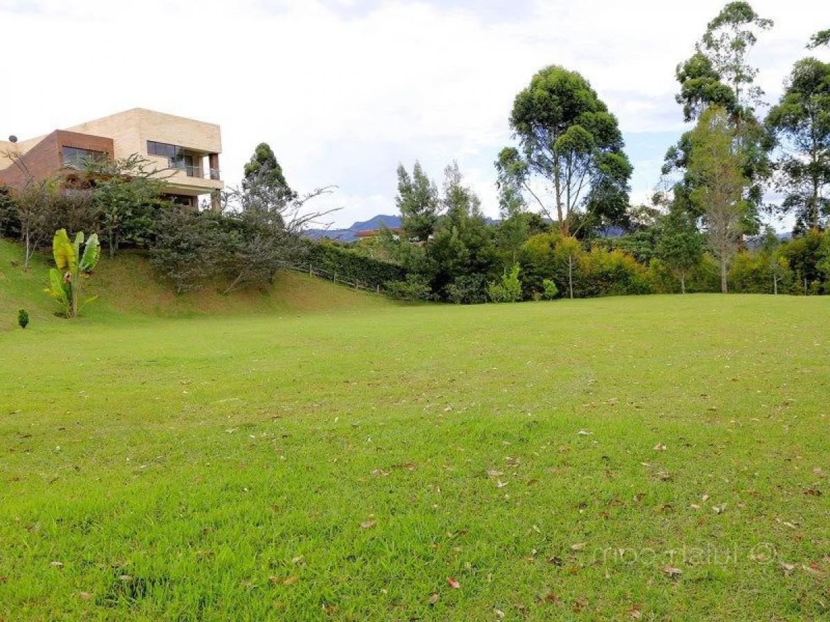 Terreno em Antioquia, Colombia N.º 462