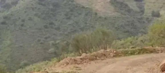 2 bedrooms House in Churriana, Spain No. 141029 11