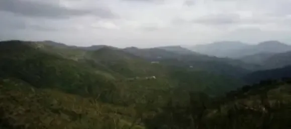 2 bedrooms House in Churriana, Spain No. 141029 10