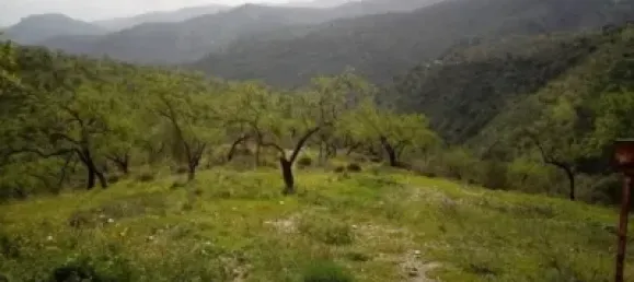 2 bedrooms House in Churriana, Spain No. 141029 7