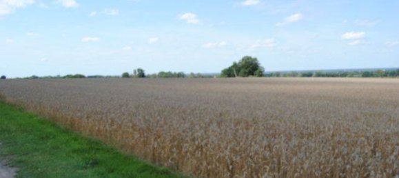 7 rooms House in Schaumburg, Germany No. 336522 3