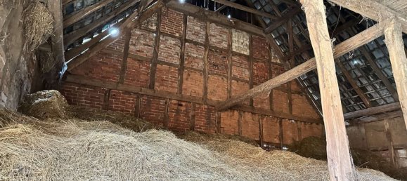 Ферма с 15 комнатами в Лейпциг, Германия № 233369 17