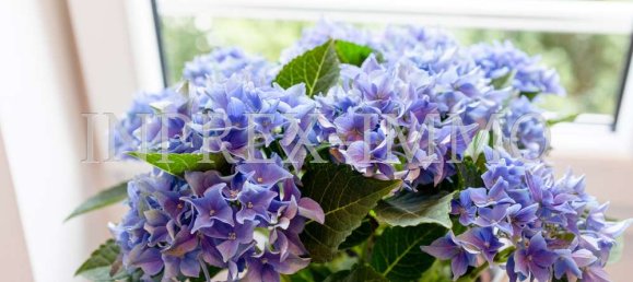 3 Schlafzimmer Penthouse in Cologne, Germany, Nr. 366677 9