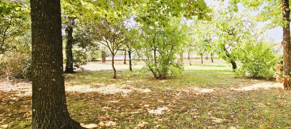 6 bedrooms Apartment in Castiglion Fibocchi, Italy No. 338984 22