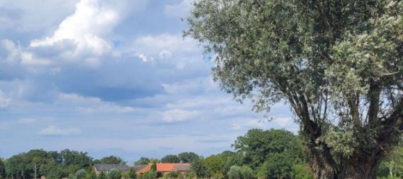 13 rooms Farm in Stendal, Germany No. 297336 12