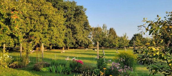 13 rooms Farm in Stendal, Germany No. 297336 9