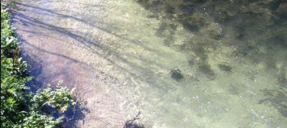 2 bedrooms House in Santo Tirso, Portugal No. 42051 7