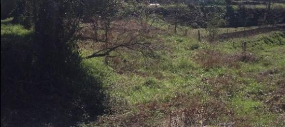 2 bedrooms House in Santo Tirso, Portugal No. 42051 9