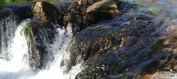 2 bedrooms House in Santo Tirso, Portugal No. 42051 19