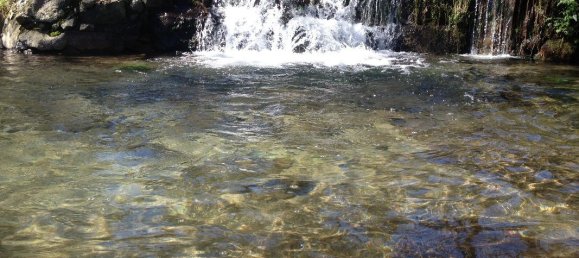 2 bedrooms House in Santo Tirso, Portugal No. 42051 15