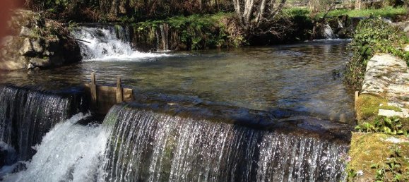 2 bedrooms House in Santo Tirso, Portugal No. 42051 11