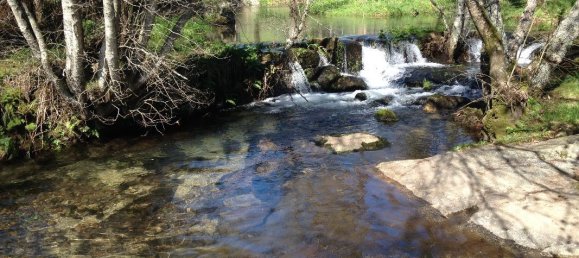 2 bedrooms House in Santo Tirso, Portugal No. 42051 14