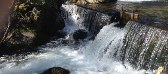 2 bedrooms House in Santo Tirso, Portugal No. 42051 13