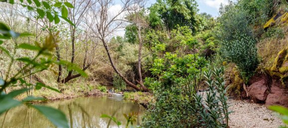 8 Schlafzimmer Villa in Silves, Portugal, Nr. 100656 15