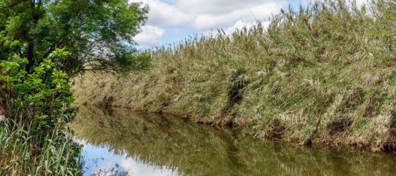 8 Schlafzimmer Villa in Silves, Portugal, Nr. 100656 16