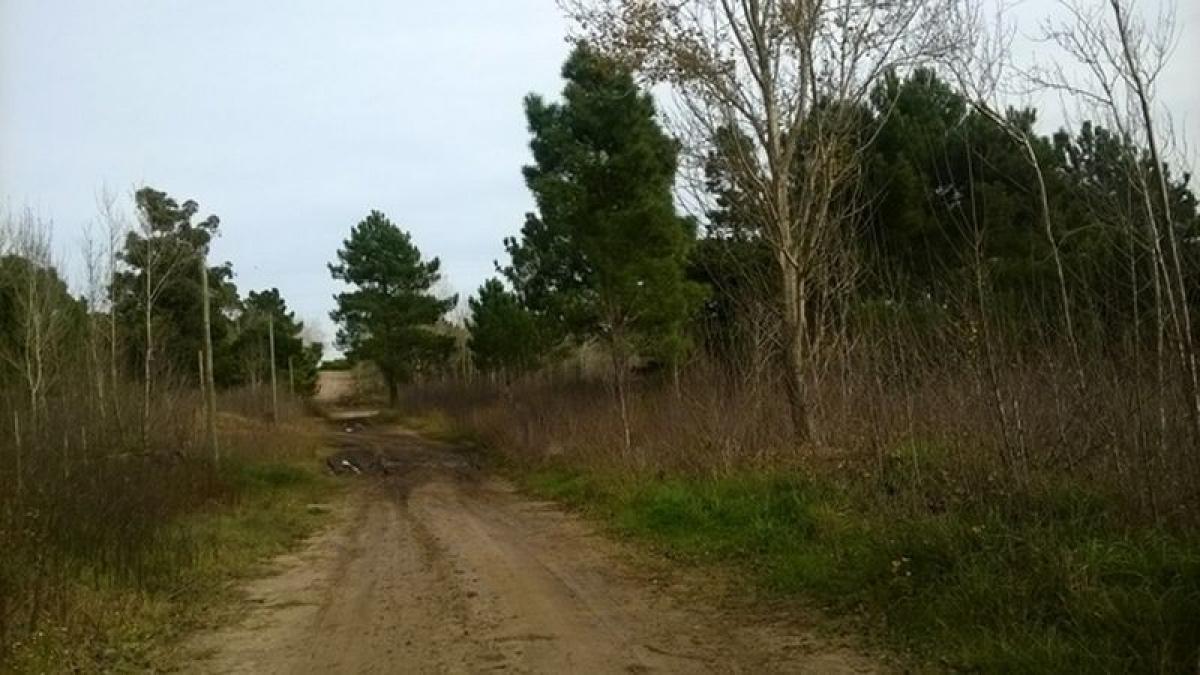 Земельный участок в Мар-дель-Плата, Аргентина № 116655