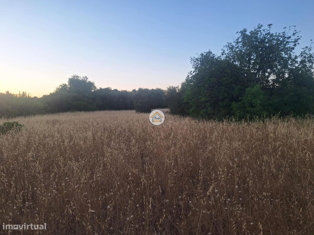  قطعة أرض في Olhao, Portugal 4400متر مربع رقم 305511