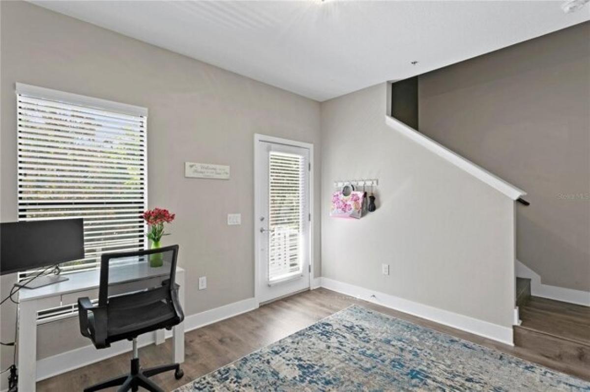 2 bedrooms House in Dunedin, USA No. 410930