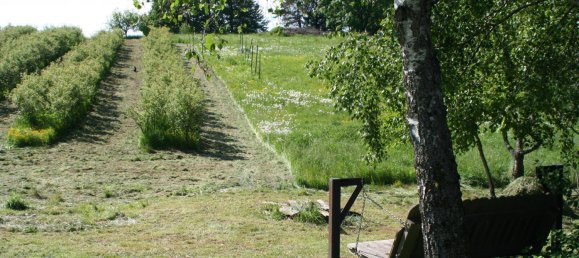 4-Zimmer Haus in Oberhaag, Austria, Nr. 65550 13