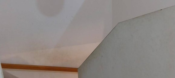 4-Zimmer Haus in Oberhaag, Austria, Nr. 65550 29