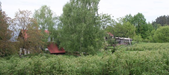 4-Zimmer Haus in Oberhaag, Austria, Nr. 65550 11