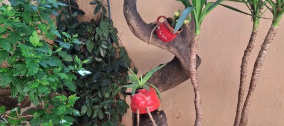 6غرفة منزل في Sardinia, Italy رقم 285664 33