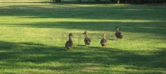 1100m² Hotel in Poggibonsi, Italy No. 327055 10