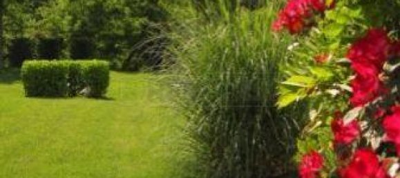 1100m² Hotel in Poggibonsi, Italy No. 327055 12