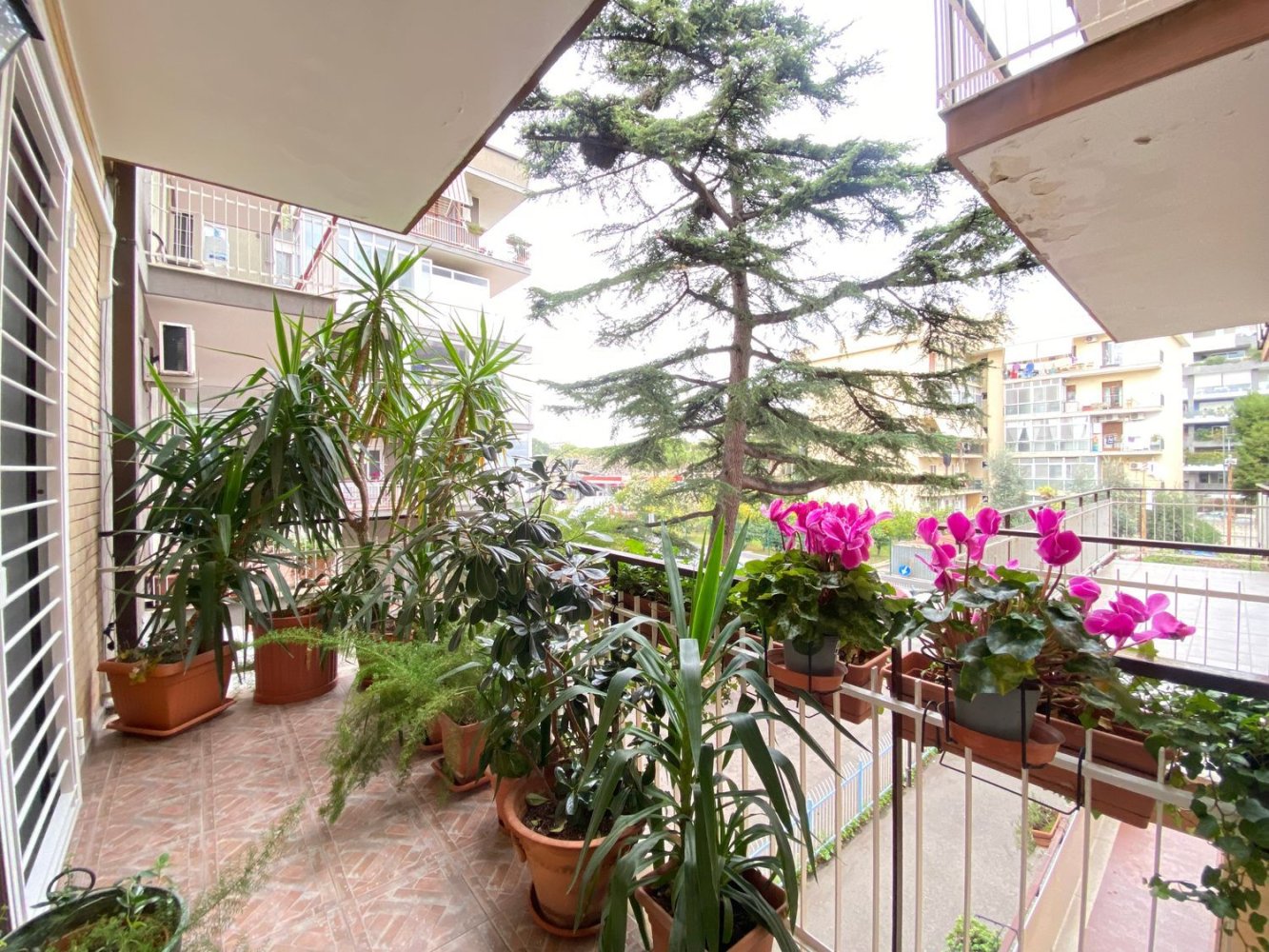 3-salle Appartement à Bari, Italy No. 276625