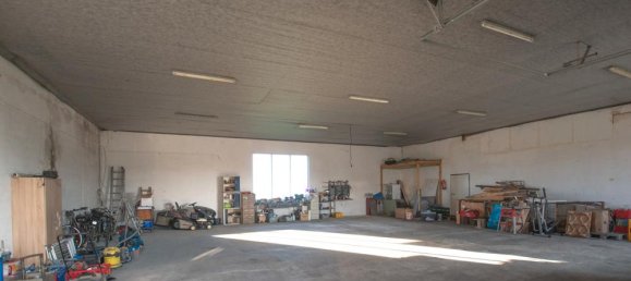 3 غرف نوم عقار تجاري في Cloppenburg, Germany رقم 85012 6