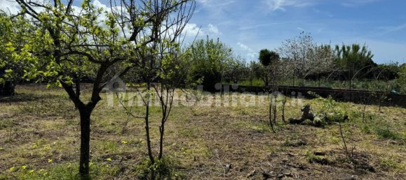 1 bedroom Villa in Santa Maria del Cedro, Italy No. 214626 22