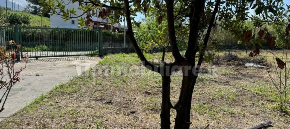 1 bedroom Villa in Santa Maria del Cedro, Italy No. 214626 14