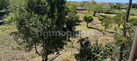 1 bedroom Villa in Santa Maria del Cedro, Italy No. 214626 20