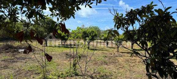 1 bedroom Villa in Santa Maria del Cedro, Italy No. 214626 16