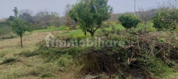 1 bedroom Villa in Santa Maria del Cedro, Italy No. 214626 29