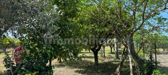 1 bedroom Villa in Santa Maria del Cedro, Italy No. 214626 17