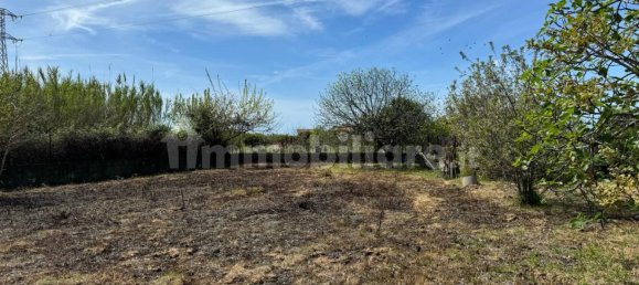 1 bedroom Villa in Santa Maria del Cedro, Italy No. 214626 25