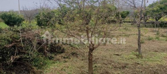 1 bedroom Villa in Santa Maria del Cedro, Italy No. 214626 28