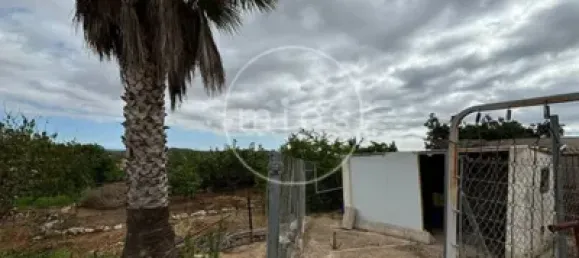 4 chambres Maison à Turis, Spain No. 175486 10