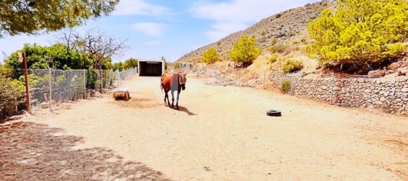 Вилла с 3 спальнями в Аликанте, Испания № 188304 14