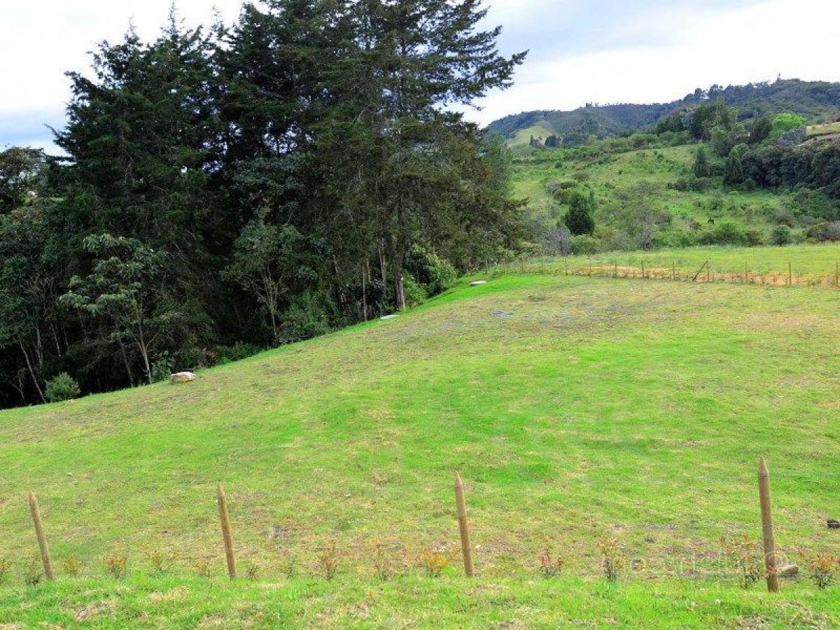 Terrain à Antioquia, Colombia No. 249