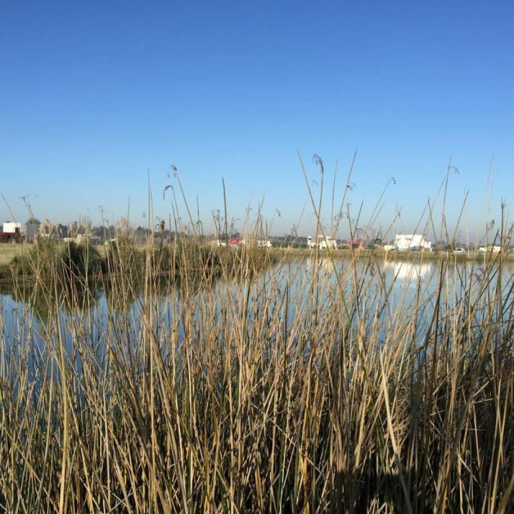  Land in Escobar, Argentina No. 115406