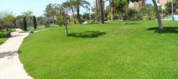 4 chambres Penthouse à Benidorm, Spain No. 74688 17