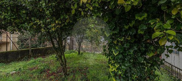 3 chambres Maison à Castro Daire, Portugal No. 174327 9