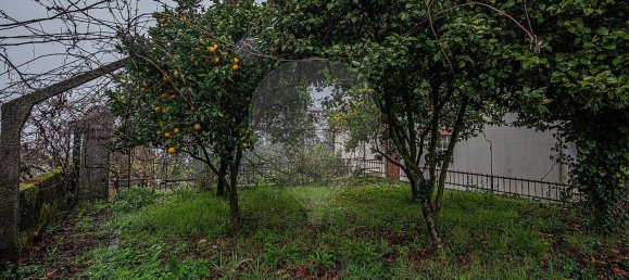 3 chambres Maison à Castro Daire, Portugal No. 174327 8