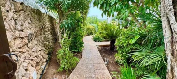 3 bedrooms Villa in Menorca, Spain No. 206125 19