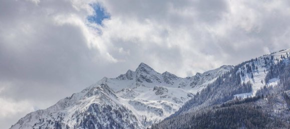 3 غرف نوم بانتهاوس في Mittersill, Austria رقم 62677 19